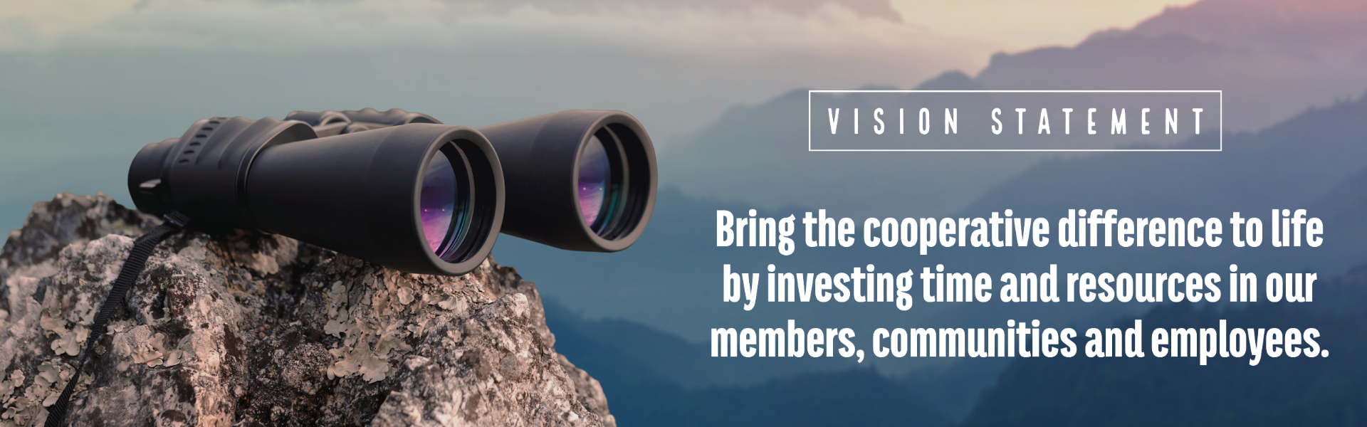 vision 2020