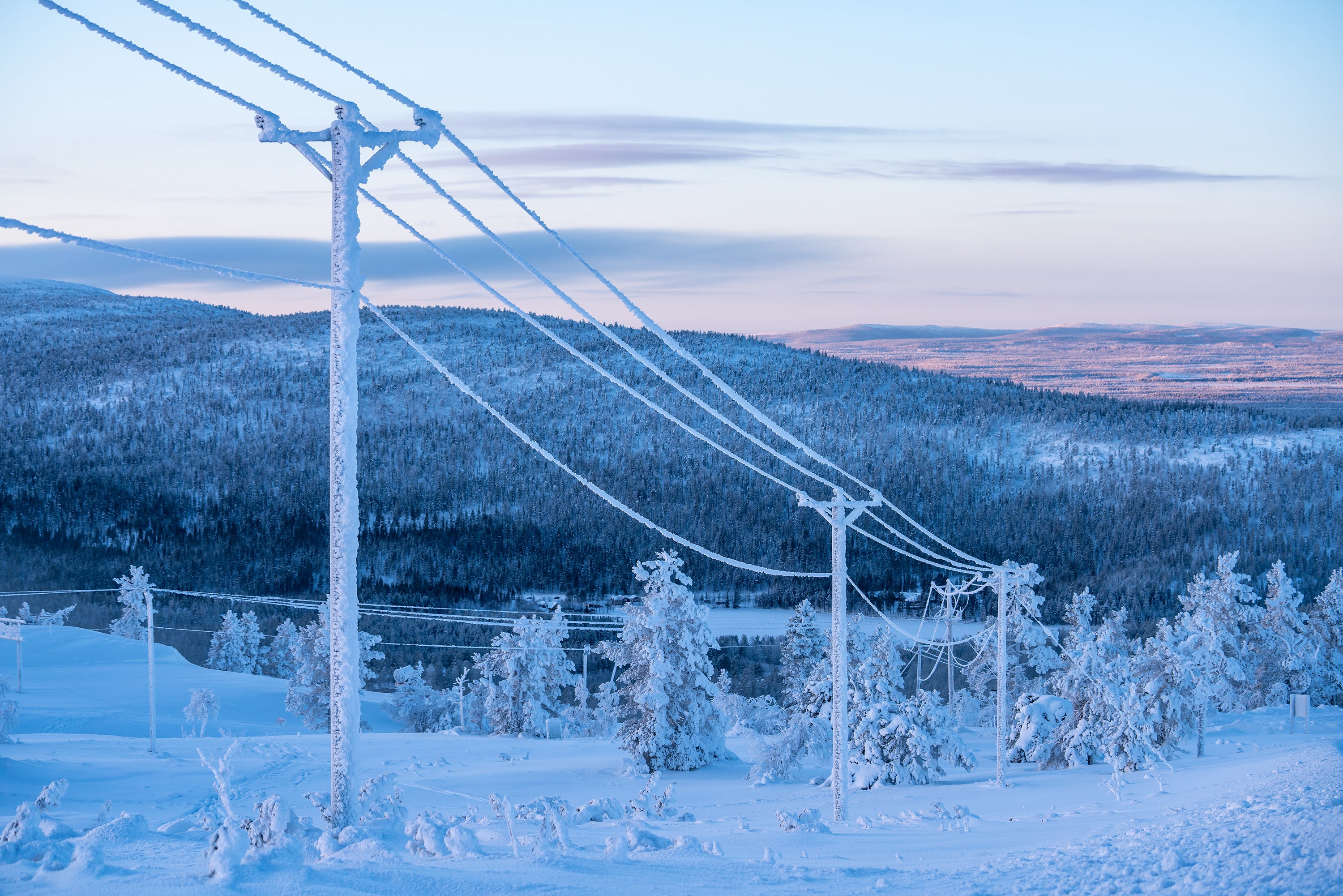 Electric Poles in a winter scene. 